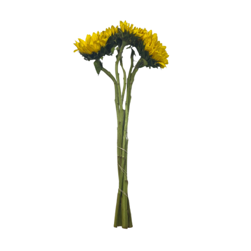 Sunflower Med 5 stems
