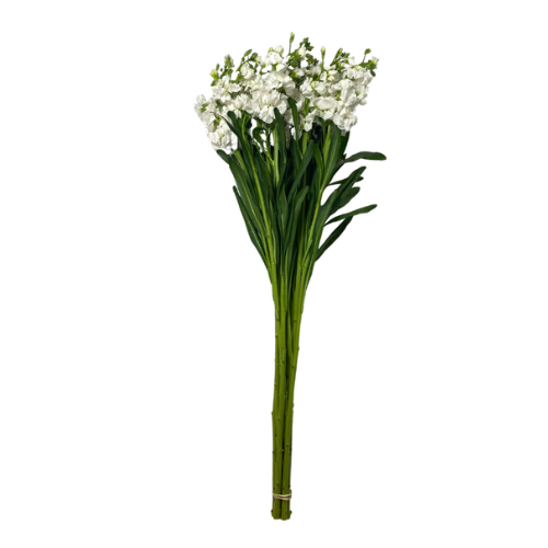 White Stock