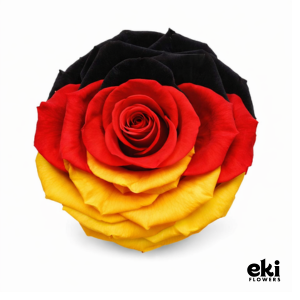 World Cup Flag Preserved Roses