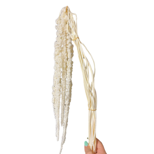 Amaranthus Hanging White *Bleached*