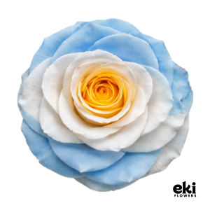 World Cup Flag Preserved Roses