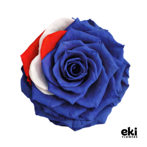 World Cup Flag Preserved Roses