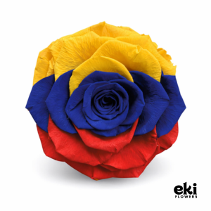 World Cup Flag Preserved Roses
