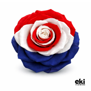 World Cup Flag Preserved Roses