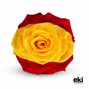 World Cup Flag Preserved Roses
