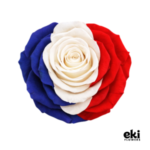 World Cup Flag Preserved Roses