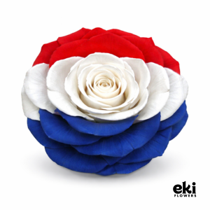 World Cup Flag Preserved Roses