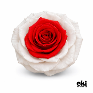 World Cup Flag Preserved Roses