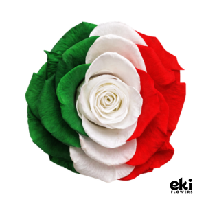 World Cup Flag Preserved Roses