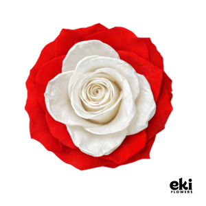 World Cup Flag Preserved Roses