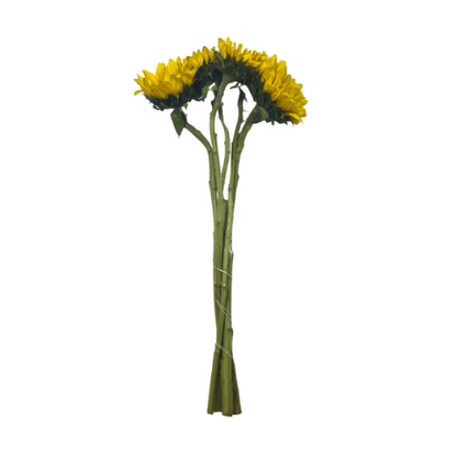Sunflower Med 5 stems