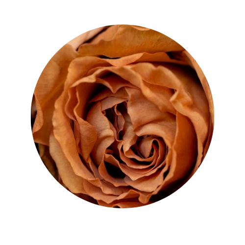 Rose Toffee
