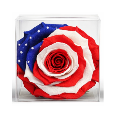 World Cup Flag Preserved Roses