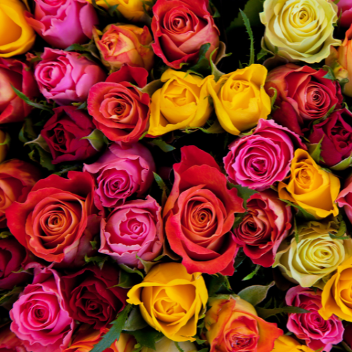 Rose Assorted box