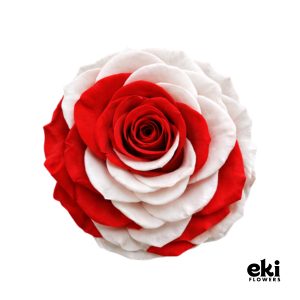 World Cup Flag Preserved Roses