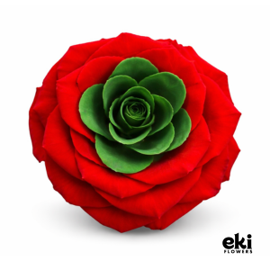 World Cup Flag Preserved Roses