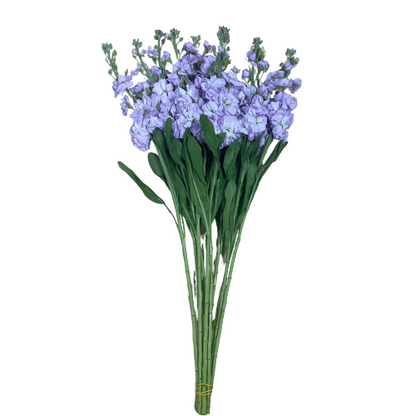 Stock Lavender